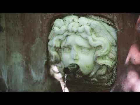 L'Università degli Studi di Salerno tra passato, presente e futuro