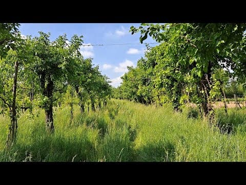 Passione per la terra andata e ritorno